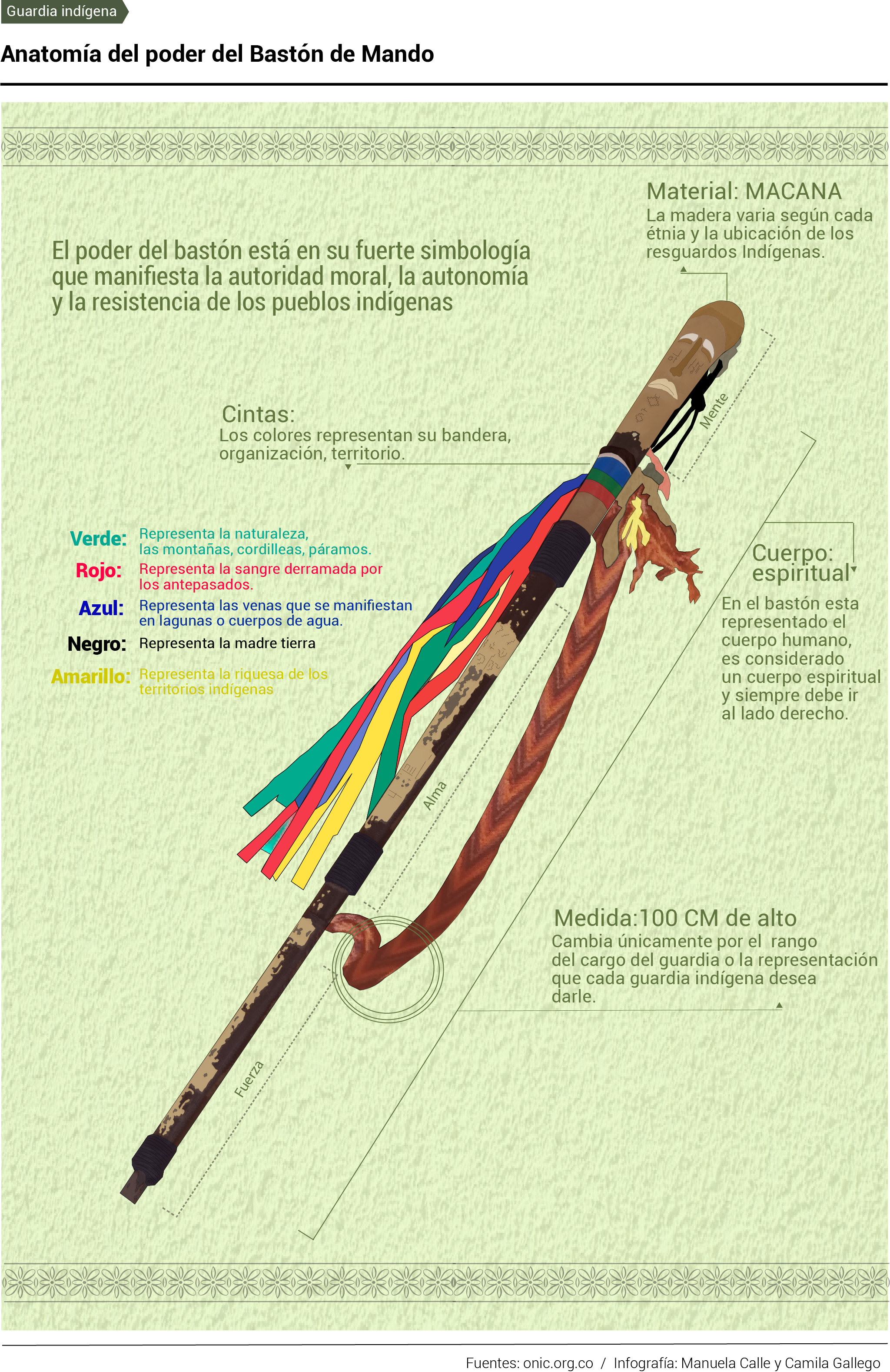 Anatomía del bastón de mando – Infografía