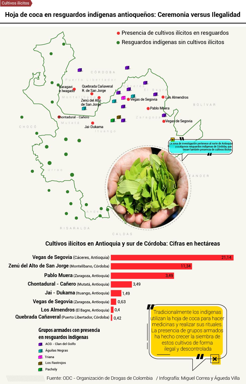 Cultivos Ilícitos en resguardos indígenas: Ceremonia versus Ilegalidad